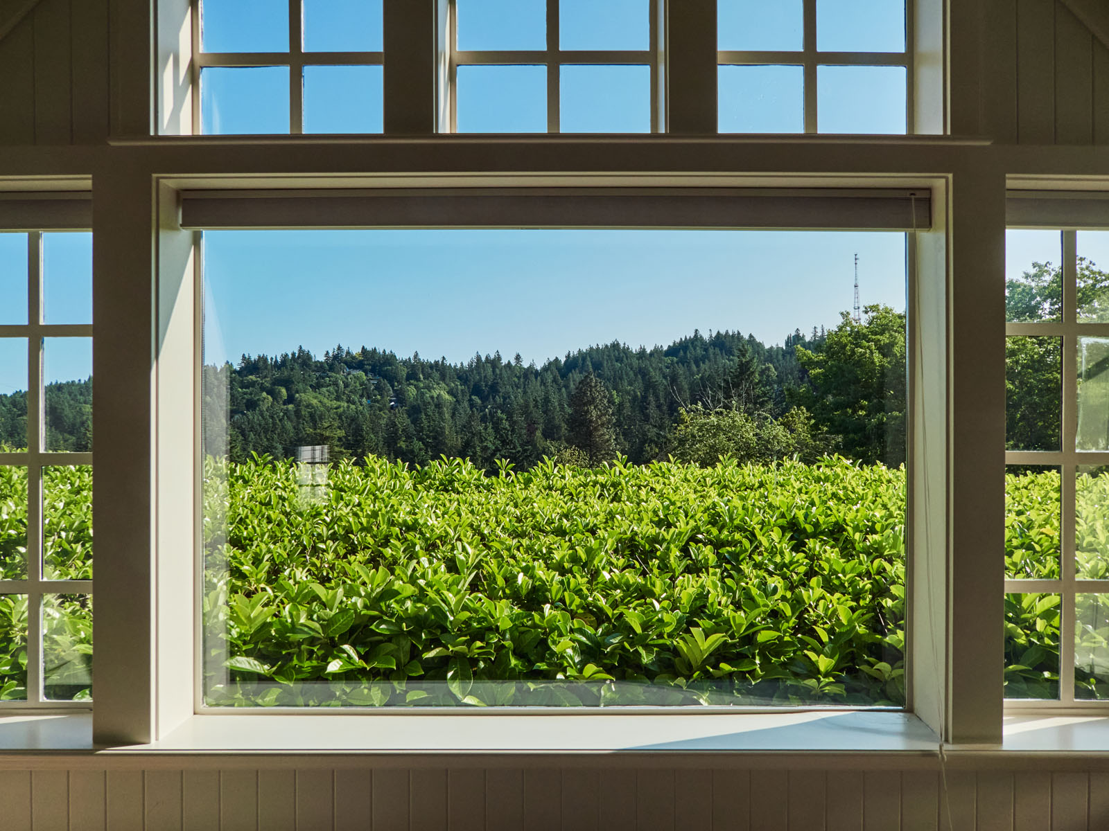 1840 SW Hawthorne Terrace, 28s