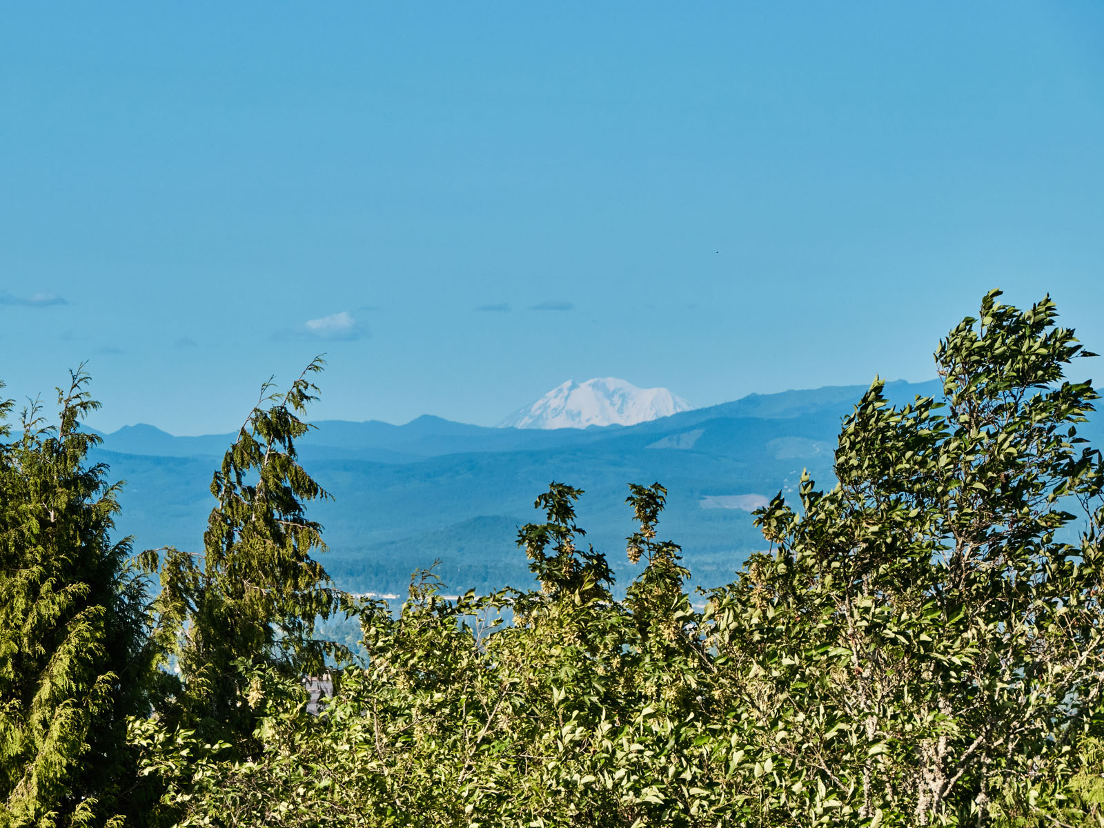 1840 SW Hawthorne Terrace, 32s