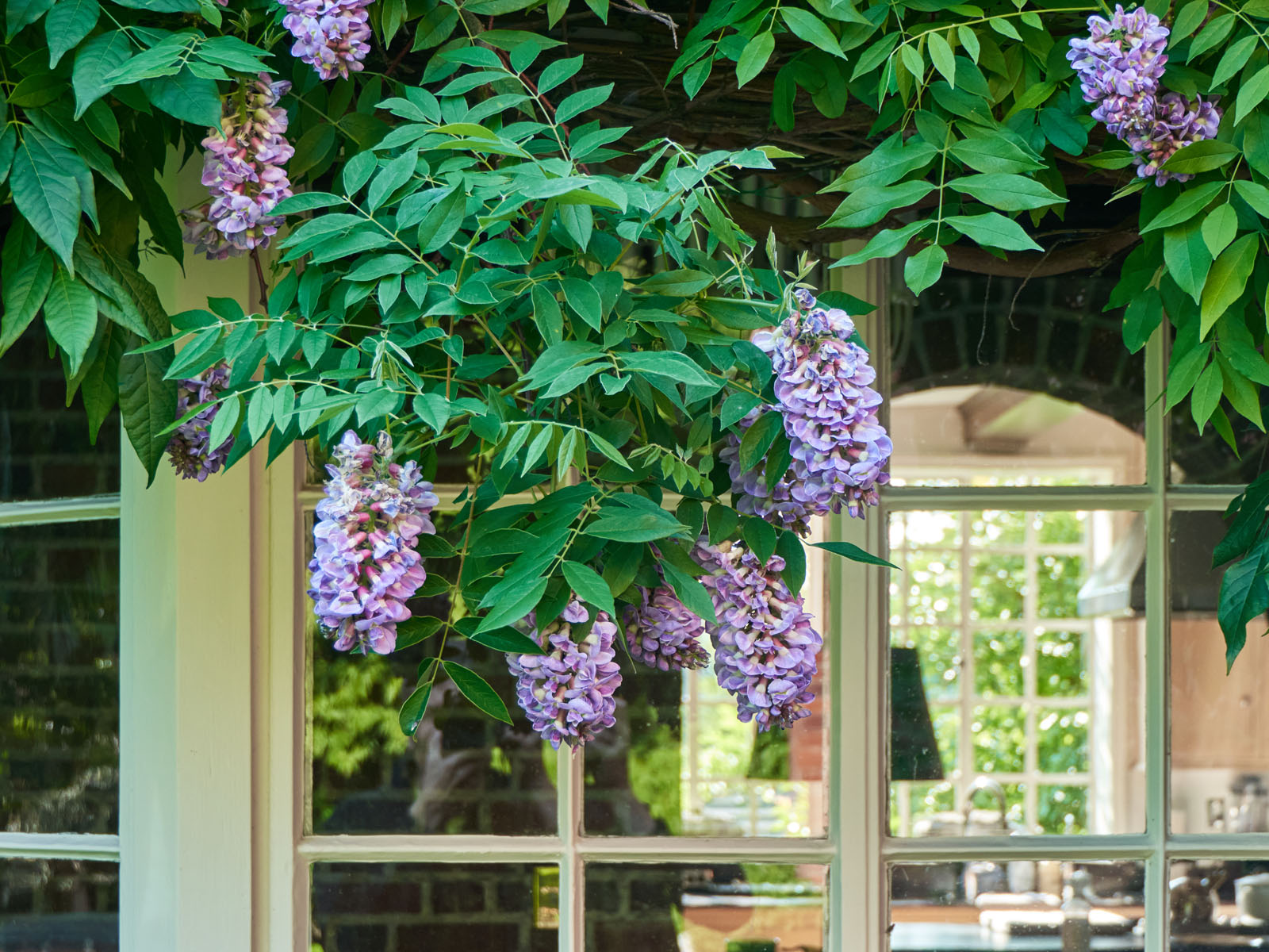 1840 SW Hawthorne Terrace, 38s